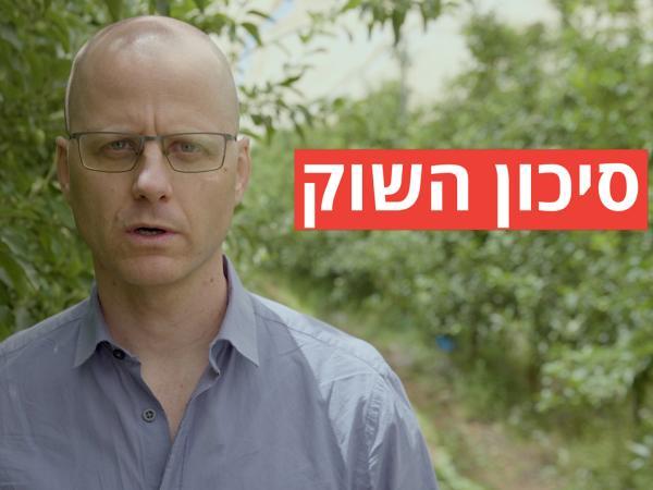 מקטינים סיכונים